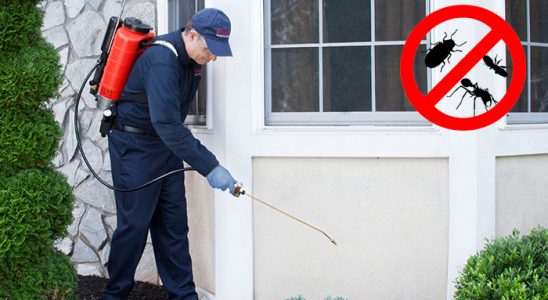 Köyceğiz Böcek ve Haşere İlaçlama böcek ilaçlama ve haşere kontrolü — ilaclama-tr.com